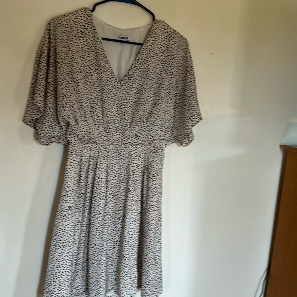 Express v neck flutter sleeve dress